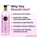 Onion and Black Seed Oil Shampoo with Rosemary Extract, Jojoba oil and Moringa Oil- Lengthening and Nourishing- 500 ML - ALZIBA CARES
